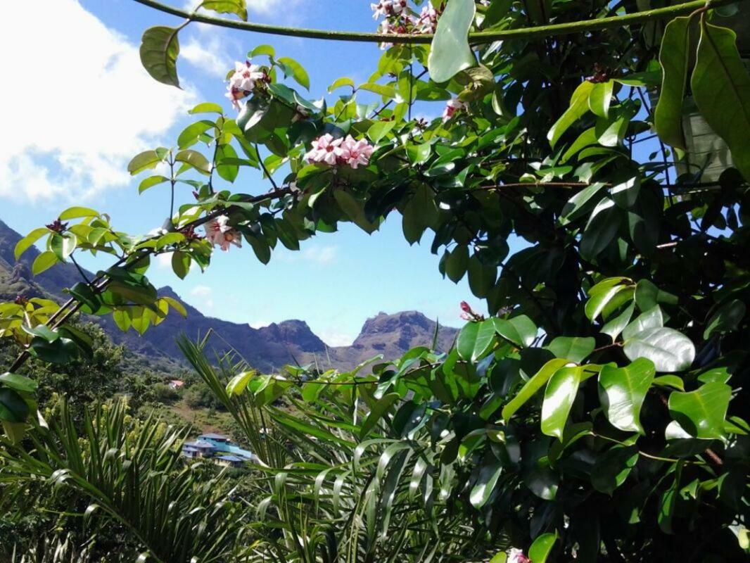 Hotel Fare Manutea Nuku Hiva Exteriér fotografie